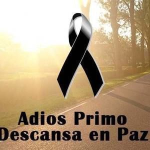 Meet your Posher, Evy